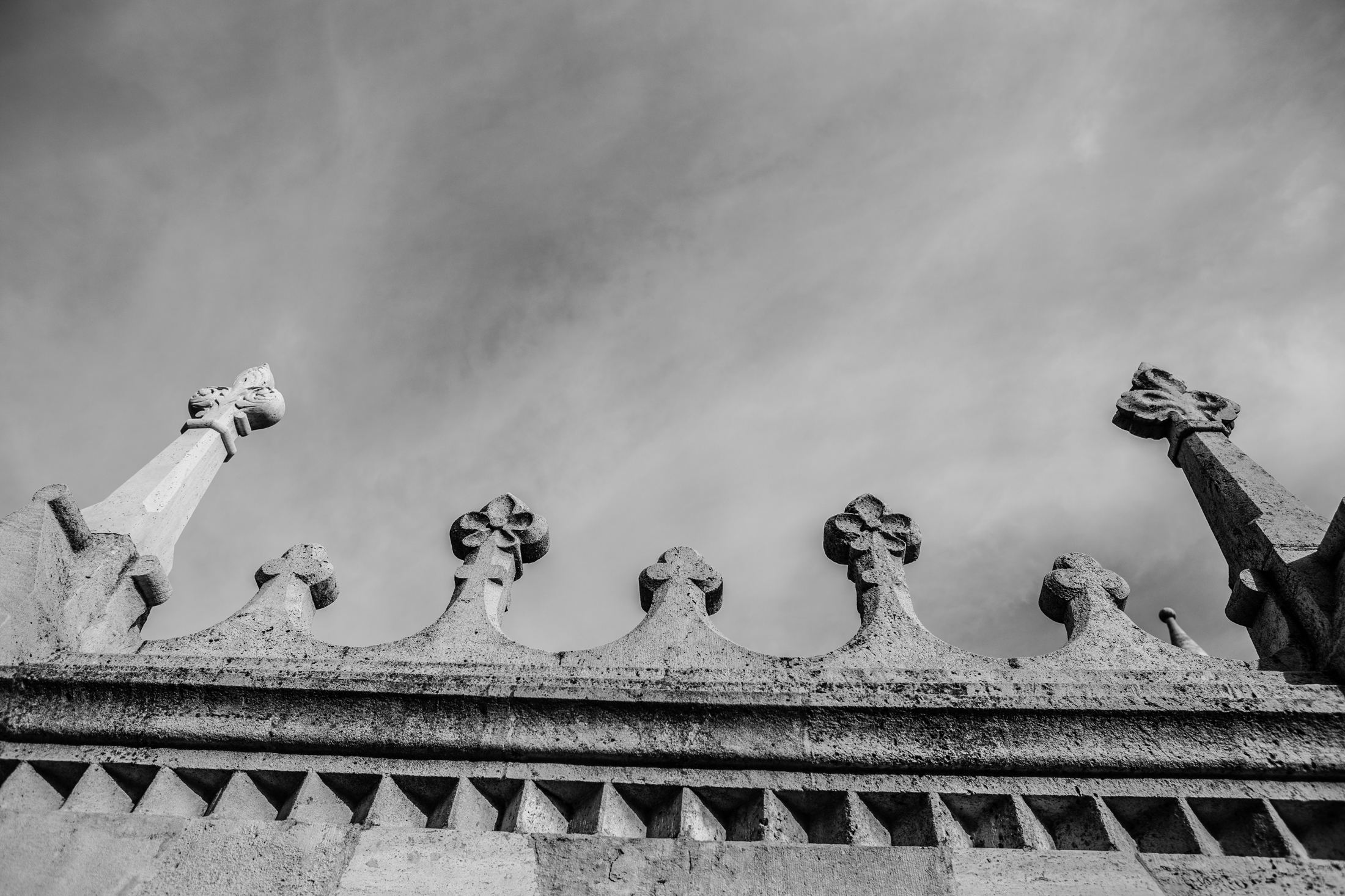 IMG_8677