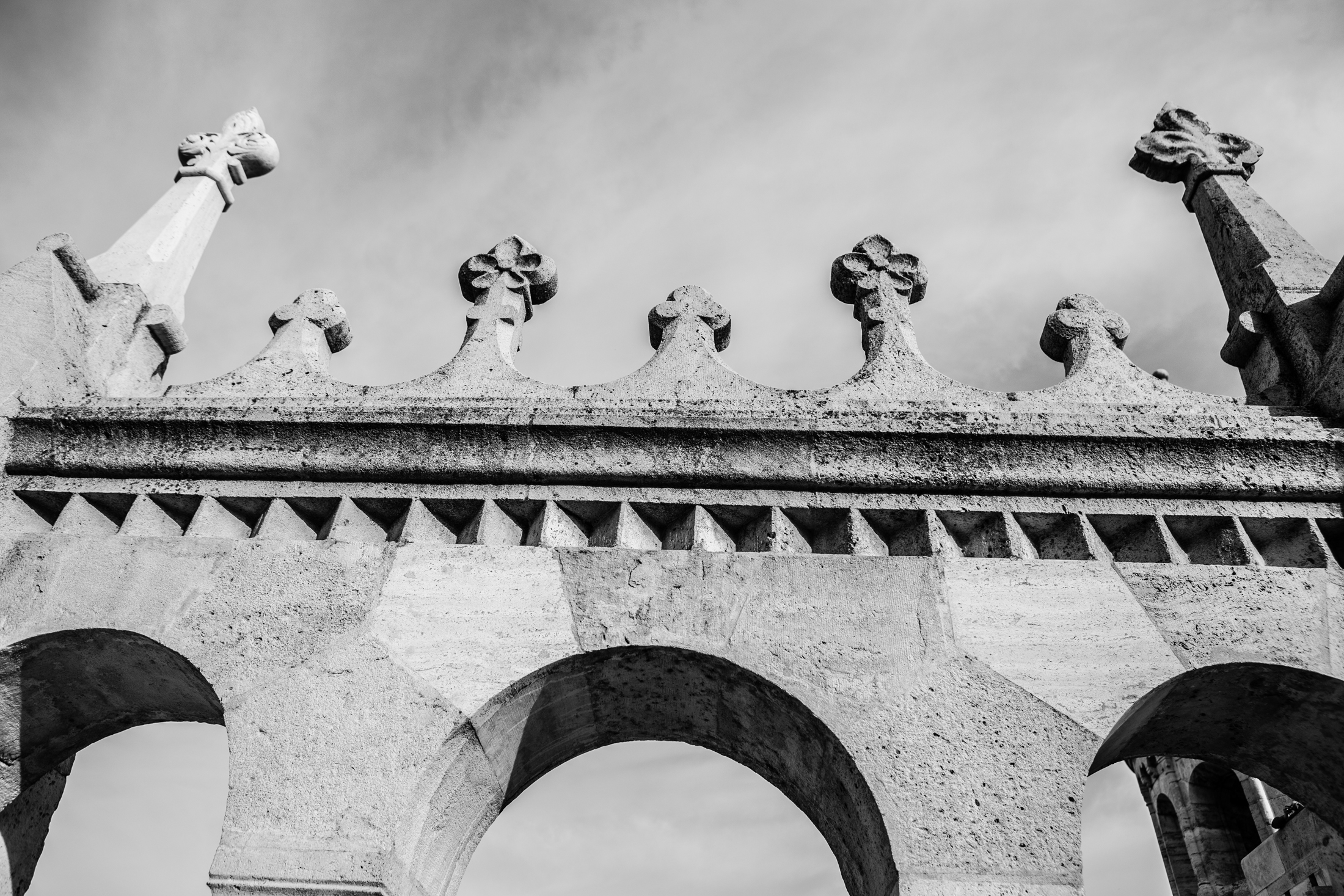 IMG_8678