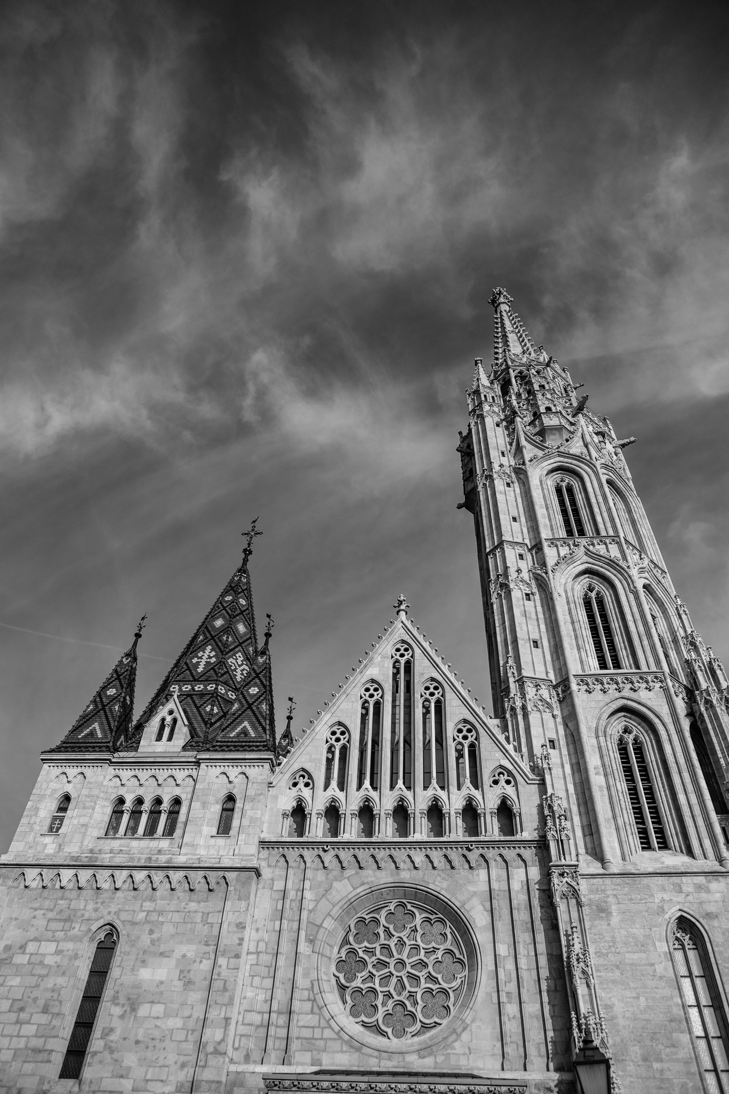 IMG_8694